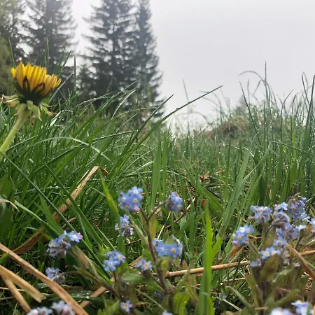 Reich An Himmel - Himmelsreich - In Den Bergen Auf 1050m Monichwald