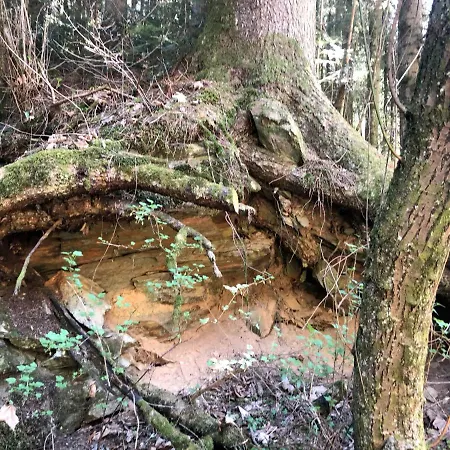 Reich An Himmel - Himmelsreich - In Den Bergen Auf 1050m * Monichwald